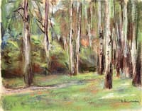 The Alley of Birch Trees in the Garden of the Artist in Wannsee (sketch)