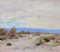 Desert Wash