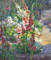Hollyhocks