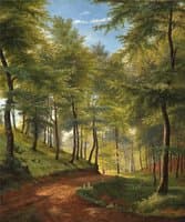 Spring day in a beech forest