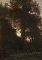 Evening in the Woods