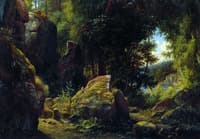 Rocks in the Wood