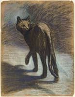 Prowling Cat