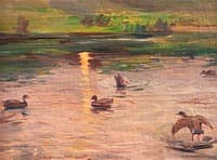 Wild Ducks at Sunset
