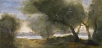Willows