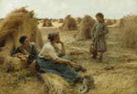 Wheatfield
