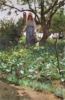 In the Cabbage Patch