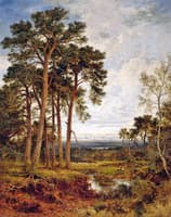 The Weald of Surrey