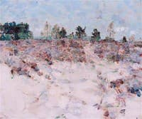 Sand and Trees