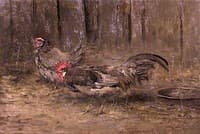 Birds of a Feather