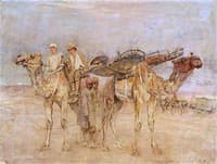 First World War: Wounded Soldiers in Palestine Being Carried on Cacolets on the Backs of Camels