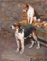 Foxhounds