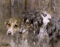 Heads of Two Dogs