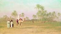 Hot Day in Algeria