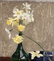 Daffodils