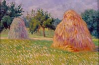 Hay Bales in Sun