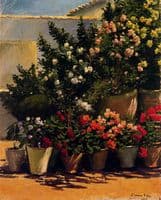 Flower Pots