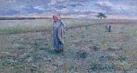 The Poppy Pickers