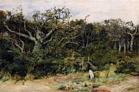The Edge of the Wood