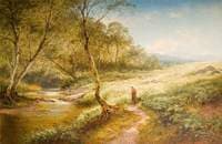 Summertime, a Stream, near Dolgellau