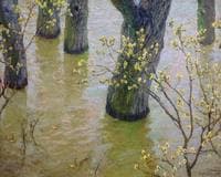 Spring Flood