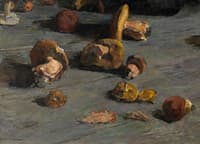 Mushrooms