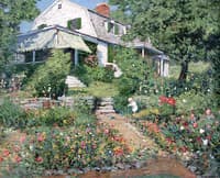 My Garden