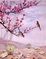 Twelve Months: April