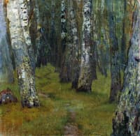 Birch Trees