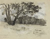 The Forest Edge