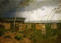 Rain