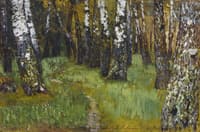 Birch Grove