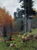 Forest in Autumn