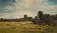 A Surrey Meadow