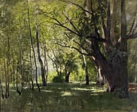 In the Park