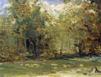 Forest in Spring