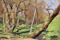 Spring