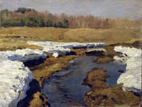 Spring. The Last Snow