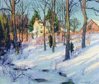 Snow Shadows