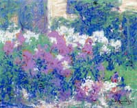 Phlox