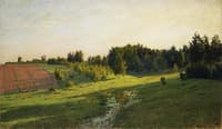 Evening Shadows