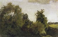 Trees and Bushes