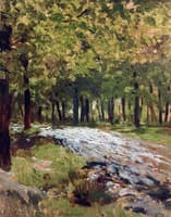 Path in the Woods