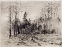 Path in the Woods