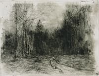Path in the Woods