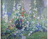 Hollyhocks