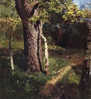 Oak and Birch