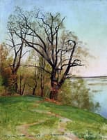 Oak Tree on the River Bank