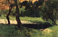 Overgrown Pond