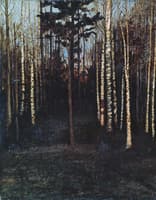Evening in the Woods